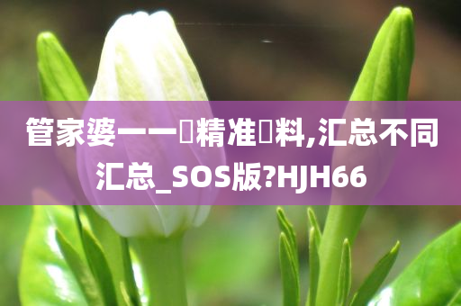 管家婆一一碼精准資料,汇总不同汇总_SOS版?HJH66