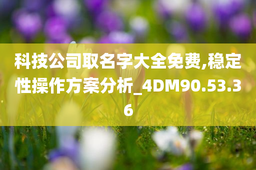 科技公司取名字大全免费,稳定性操作方案分析_4DM90.53.36