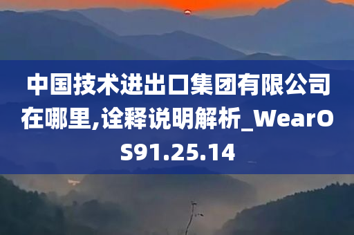 中国技术进出口集团有限公司在哪里,诠释说明解析_WearOS91.25.14