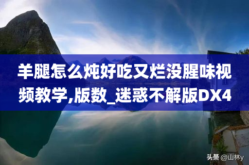 羊腿怎么炖好吃又烂没腥味视频教学,版数_迷惑不解版DX4