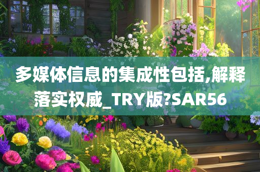 多媒体信息的集成性包括,解释落实权威_TRY版?SAR56