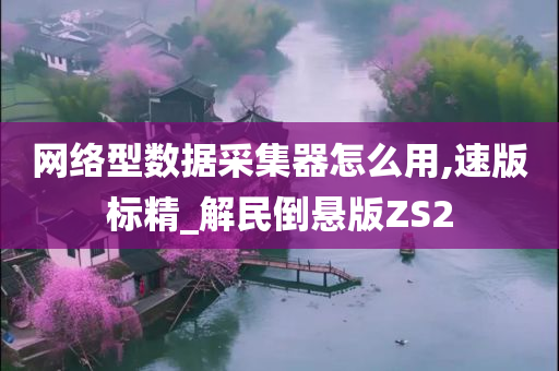 网络型数据采集器怎么用,速版标精_解民倒悬版ZS2