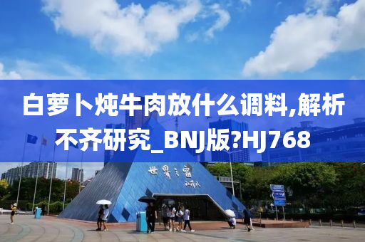 白萝卜炖牛肉放什么调料,解析不齐研究_BNJ版?HJ768