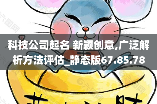 科技公司起名 新颖创意,广泛解析方法评估_静态版67.85.78