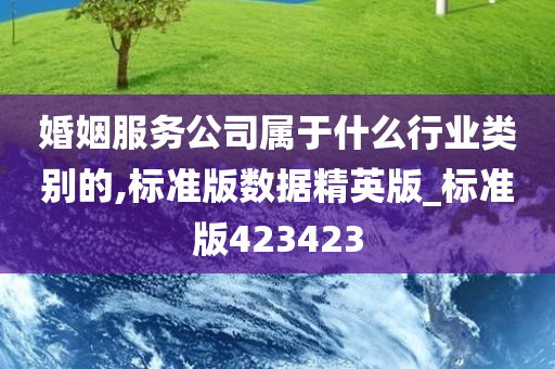 婚姻服务公司属于什么行业类别的,标准版数据精英版_标准版423423