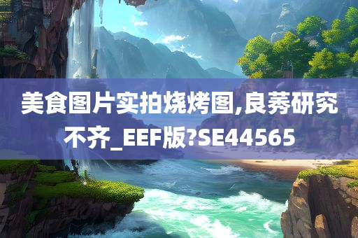 美食图片实拍烧烤图,良莠研究不齐_EEF版?SE44565