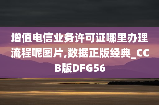 增值电信业务许可证哪里办理流程呢图片,数据正版经典_CCB版DFG56