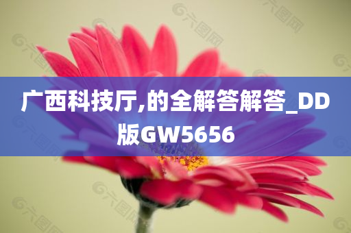 广西科技厅,的全解答解答_DD版GW5656