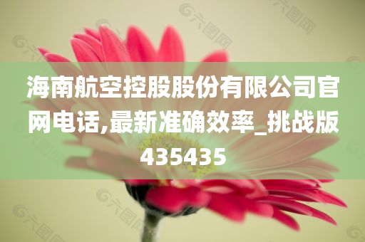 海南航空控股股份有限公司官网电话,最新准确效率_挑战版435435