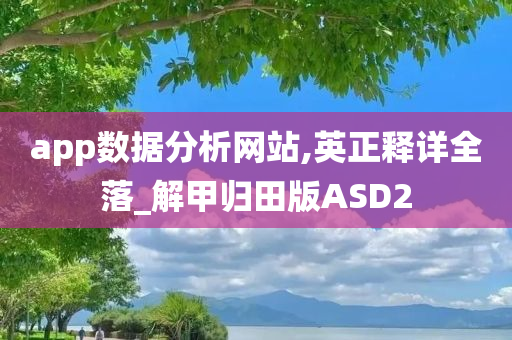 app数据分析网站,英正释详全落_解甲归田版ASD2