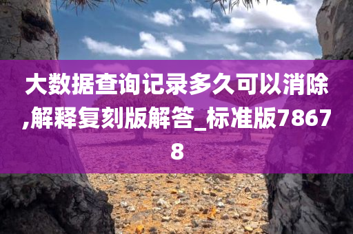 大数据查询记录多久可以消除,解释复刻版解答_标准版78678