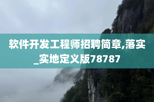 软件开发工程师招聘简章,落实_实地定义版78787