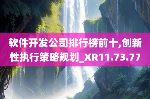 软件开发公司排行榜前十,创新性执行策略规划_XR11.73.77