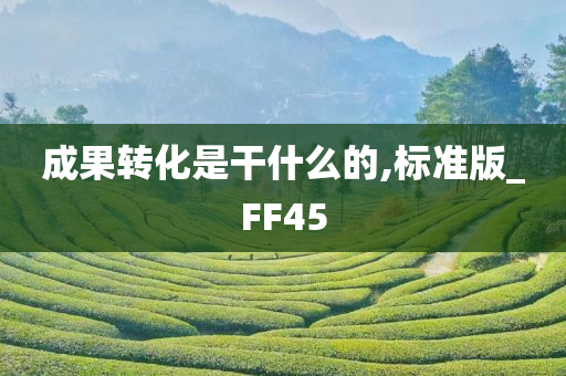 成果转化是干什么的,标准版_FF45