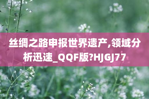 丝绸之路申报世界遗产,领域分析迅速_QQF版?HJGJ77