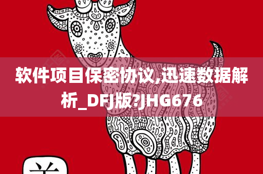 软件项目保密协议,迅速数据解析_DFJ版?JHG676