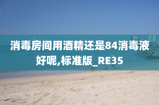 消毒房间用酒精还是84消毒液好呢,标准版_RE35