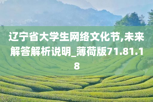 辽宁省大学生网络文化节,未来解答解析说明_薄荷版71.81.18