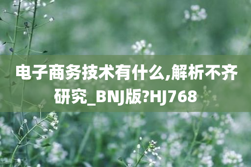 电子商务技术有什么,解析不齐研究_BNJ版?HJ768