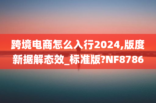 跨境电商怎么入行2024,版度新据解态效_标准版?NF8786