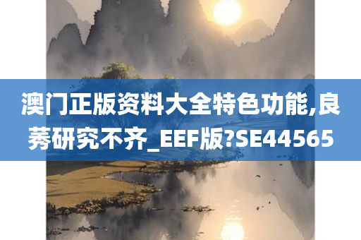 澳门正版资料大全特色功能,良莠研究不齐_EEF版?SE44565