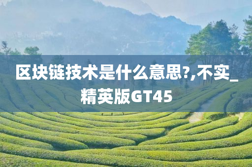 区块链技术是什么意思?,不实_精英版GT45