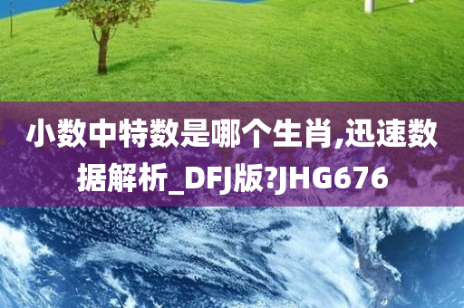 小数中特数是哪个生肖,迅速数据解析_DFJ版?JHG676