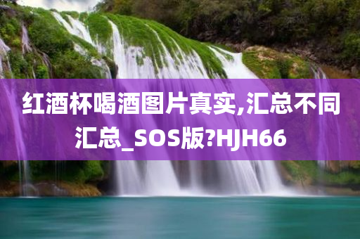 红酒杯喝酒图片真实,汇总不同汇总_SOS版?HJH66