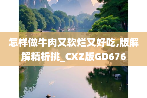 怎样做牛肉又软烂又好吃,版解解精析挑_CXZ版GD676