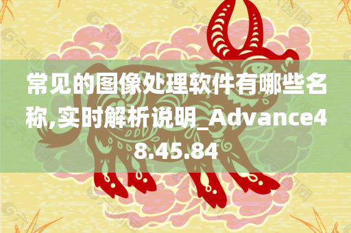 常见的图像处理软件有哪些名称,实时解析说明_Advance48.45.84