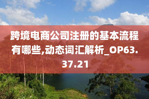 跨境电商公司注册的基本流程有哪些,动态词汇解析_OP63.37.21