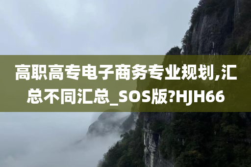 高职高专电子商务专业规划,汇总不同汇总_SOS版?HJH66