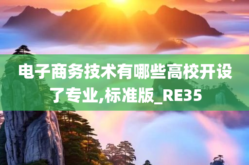 电子商务技术有哪些高校开设了专业,标准版_RE35