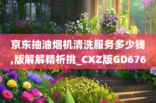 京东抽油烟机清洗服务多少钱,版解解精析挑_CXZ版GD676