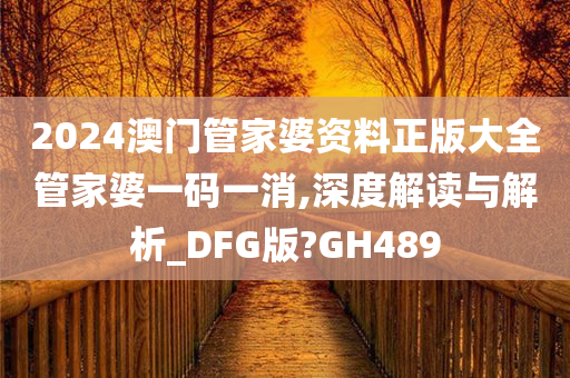 2024澳门管家婆资料正版大全管家婆一码一消,深度解读与解析_DFG版?GH489