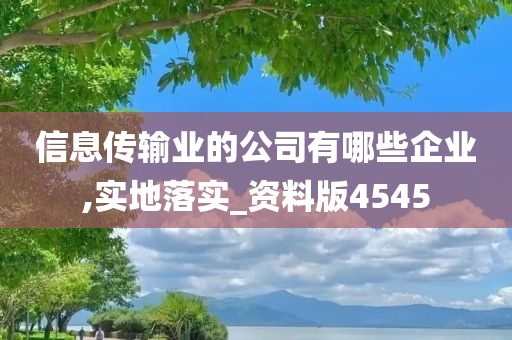 信息传输业的公司有哪些企业,实地落实_资料版4545