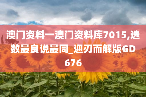 澳门资料一澳门资料库7015,选数最良说最同_迎刃而解版GD676