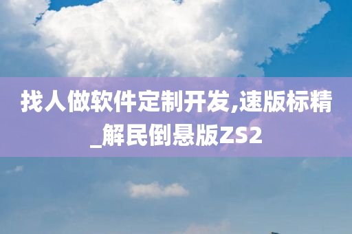 找人做软件定制开发,速版标精_解民倒悬版ZS2