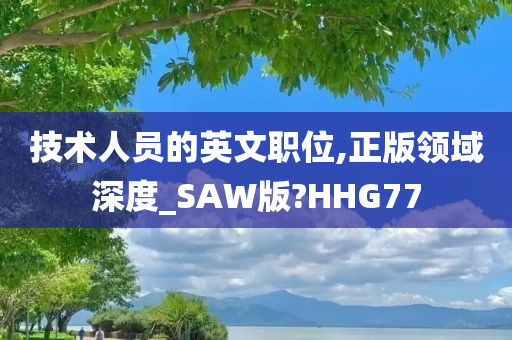 技术人员的英文职位,正版领域深度_SAW版?HHG77