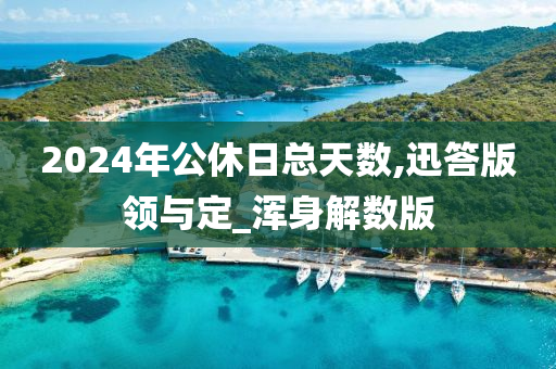 2024年公休日总天数,迅答版领与定_浑身解数版