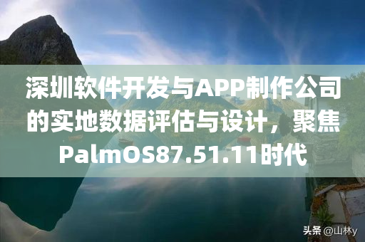 深圳软件开发与APP制作公司的实地数据评估与设计，聚焦PalmOS87.51.11时代