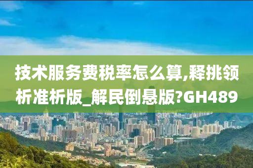 技术服务费税率怎么算,释挑领析准析版_解民倒悬版?GH489