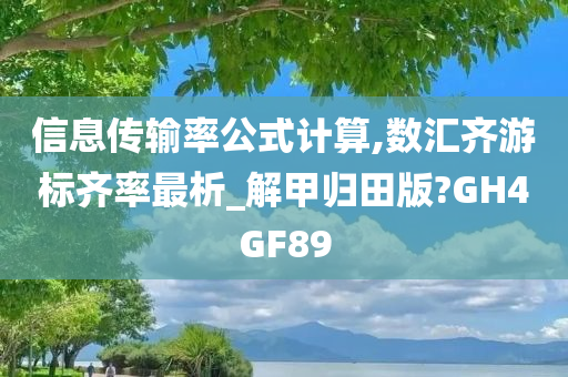 信息传输率公式计算,数汇齐游标齐率最析_解甲归田版?GH4GF89