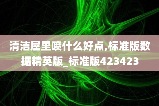 清洁屋里喷什么好点,标准版数据精英版_标准版423423