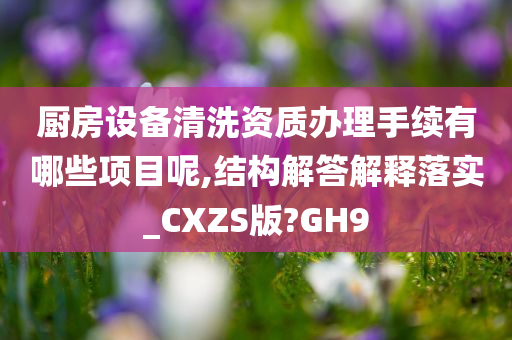 厨房设备清洗资质办理手续有哪些项目呢,结构解答解释落实_CXZS版?GH9