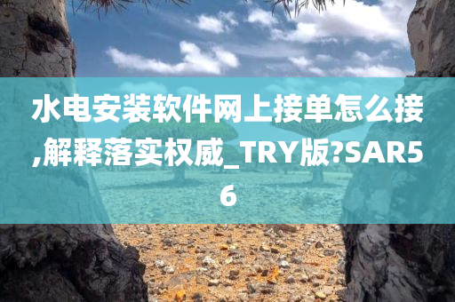 水电安装软件网上接单怎么接,解释落实权威_TRY版?SAR56