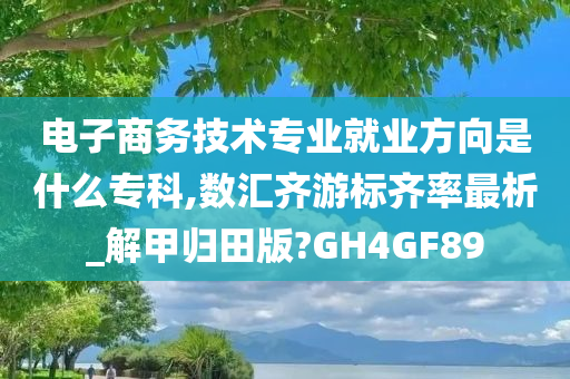 电子商务技术专业就业方向是什么专科,数汇齐游标齐率最析_解甲归田版?GH4GF89