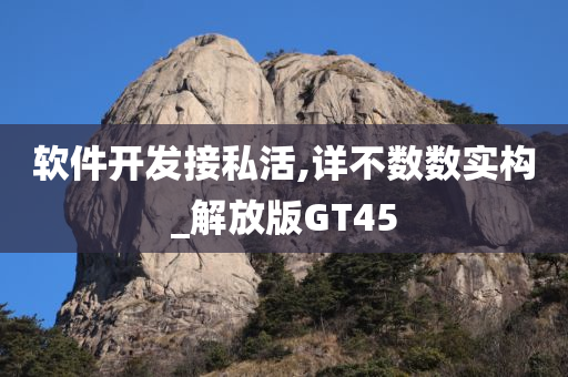 软件开发接私活,详不数数实构_解放版GT45