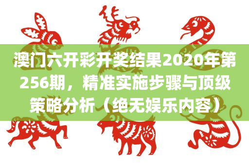 澳门六开彩开奖结果2020年第256期，精准实施步骤与顶级策略分析（绝无娱乐内容）