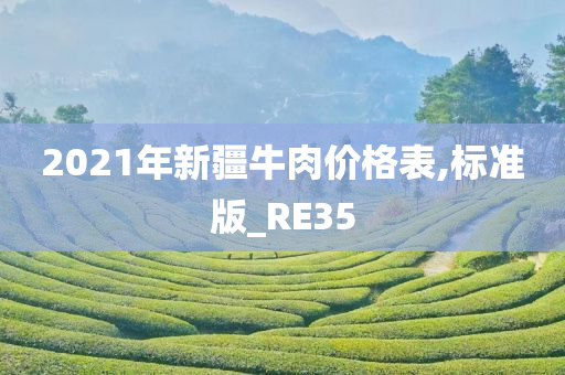 2021年新疆牛肉价格表,标准版_RE35